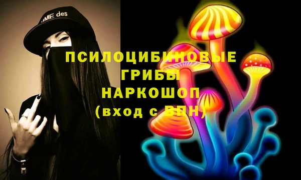 тгк Арсеньев