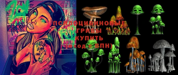 тгк Арсеньев